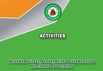 Post Feature Image-Activities_767x542