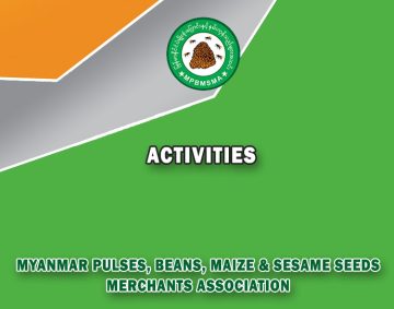 Post Feature Image-Activities_767x542